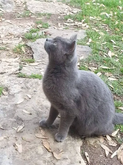 Prairie Creek Veterinary Hospital Picture 1