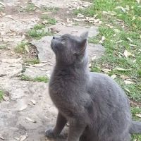 Prairie Creek Veterinary Hospital ico