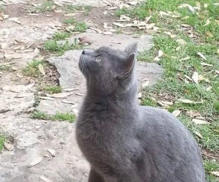 Prairie Creek Veterinary Hospital