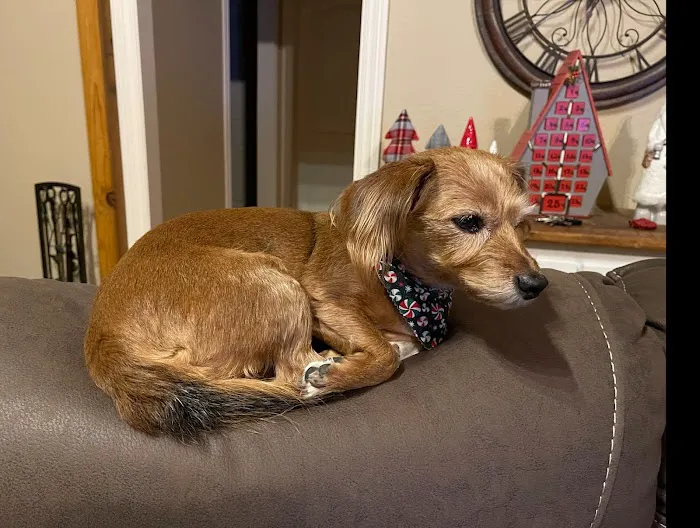 Prairie Creek Veterinary Hospital Picture 6