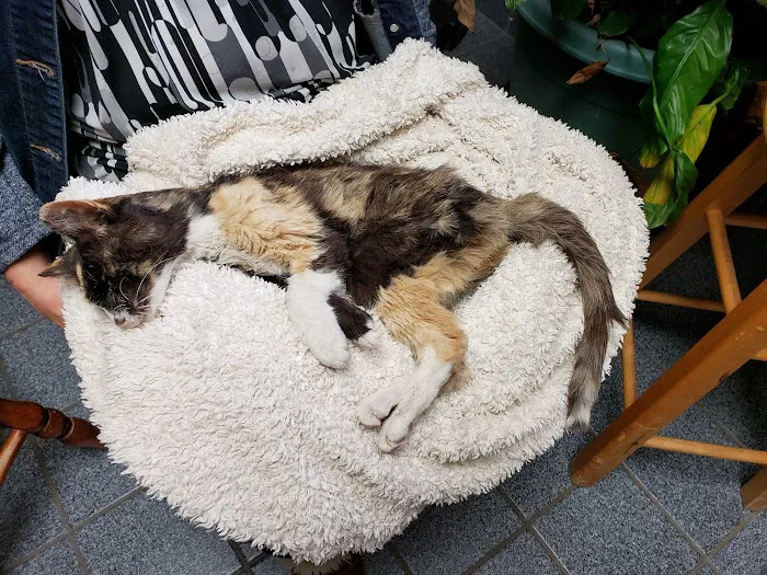 Prairie Creek Veterinary Hospital Picture 4