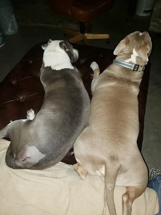 Prairie Creek Veterinary Hospital Picture 5