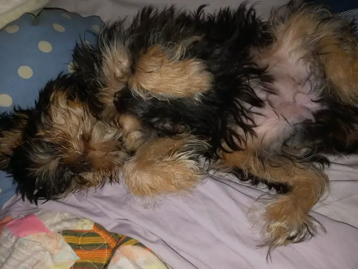 Prairie Creek Veterinary Hospital Picture 9