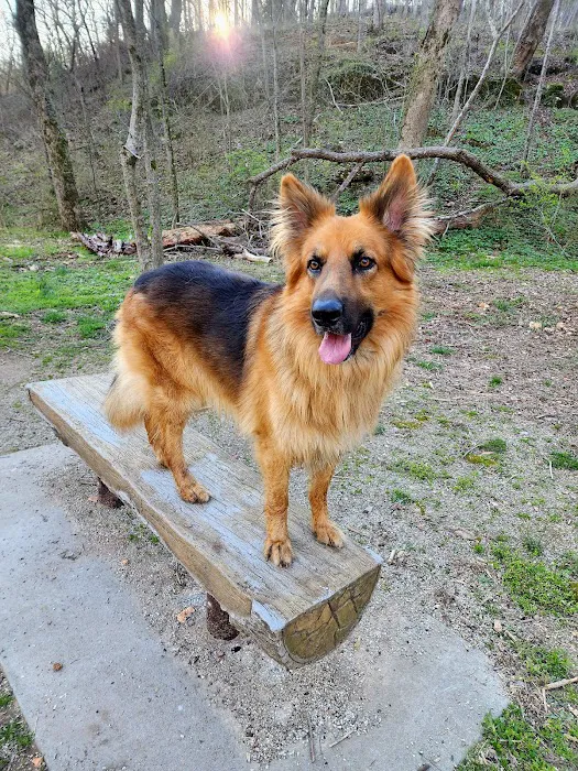 Prairie Creek Veterinary Hospital Picture 7