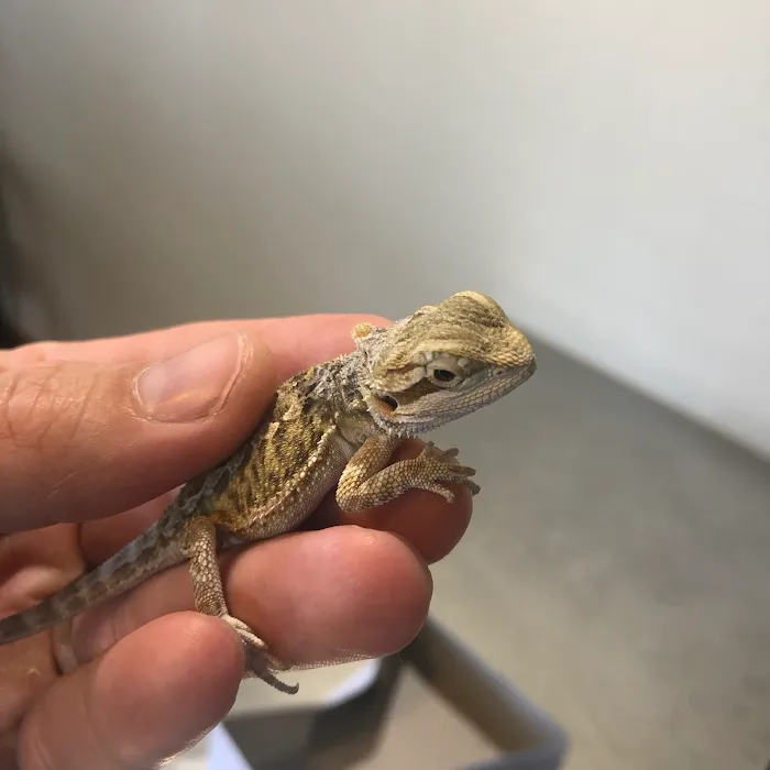 FORTY32 Animal Hospital and Surgery Center Picture 7