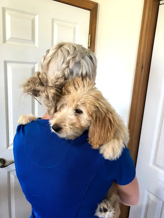 FORTY32 Animal Hospital and Surgery Center Picture 5