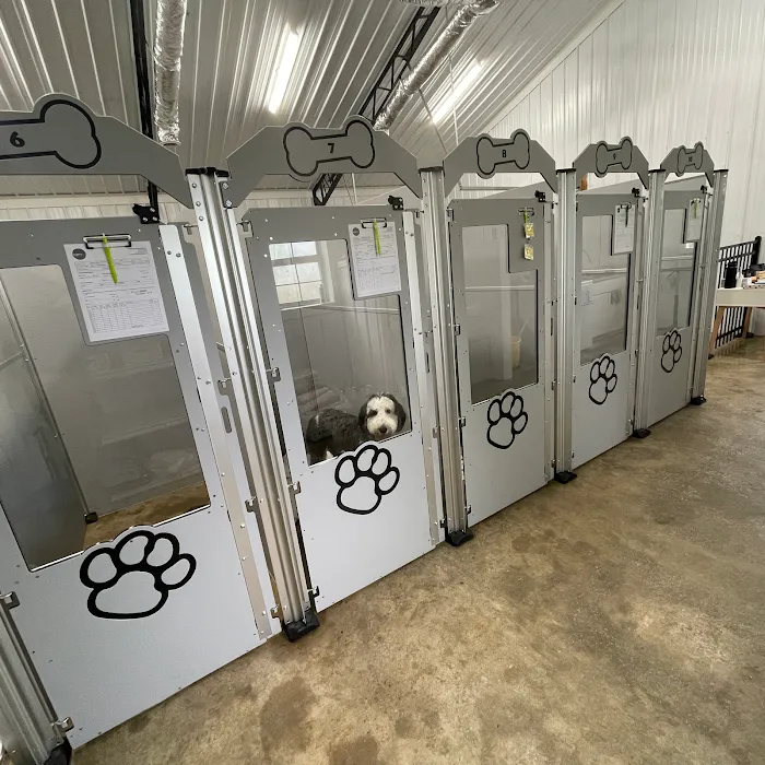 FORTY32 Animal Hospital and Surgery Center Picture 9