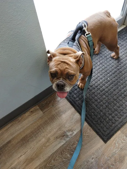 Pets First Hospital Picture 1