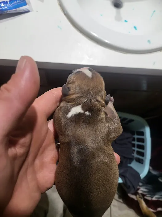 Pets First Hospital Picture 8