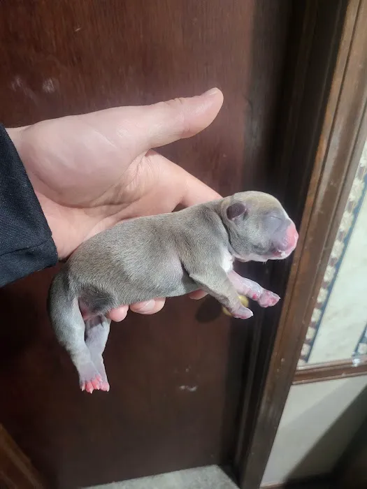 Pets First Hospital Picture 6