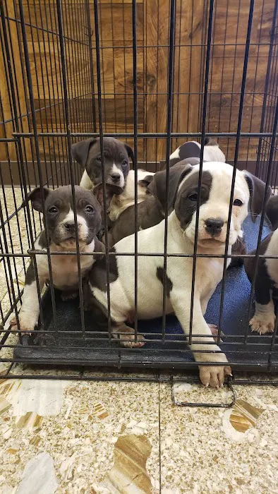 Pets First Hospital Picture 4