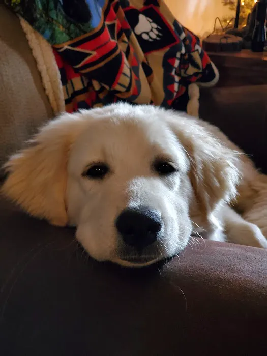 Pets First Hospital Picture 7