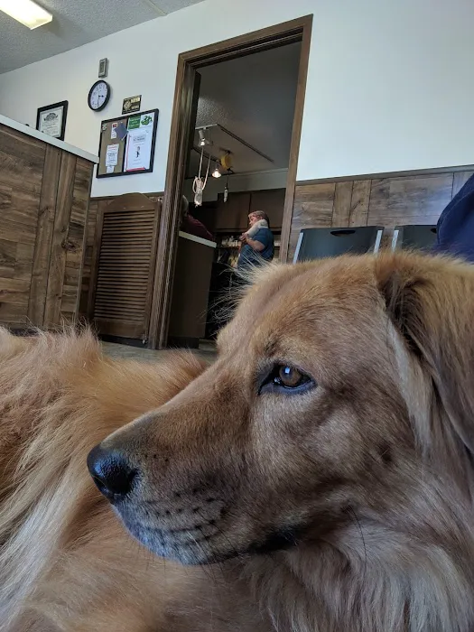 Pets First Hospital Picture 10