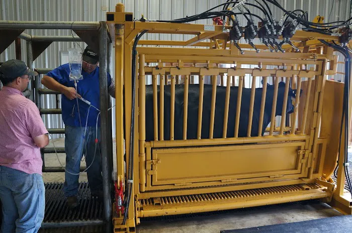 Flying Cow Genetics Picture 2