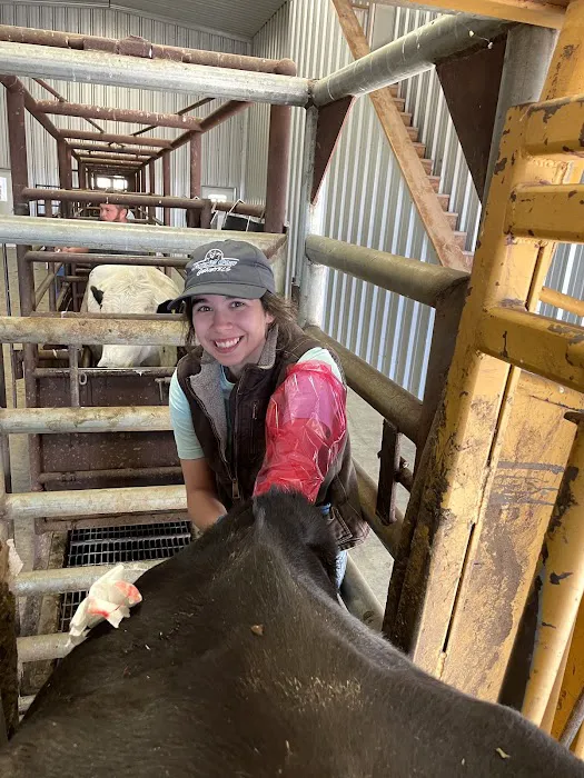 Flying Cow Genetics Picture 3