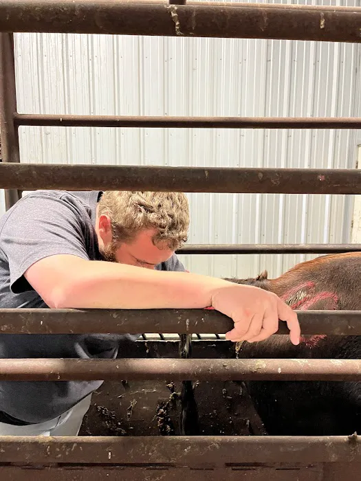 Flying Cow Genetics Picture 5