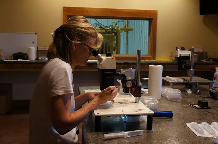 Flying Cow Genetics Picture 8