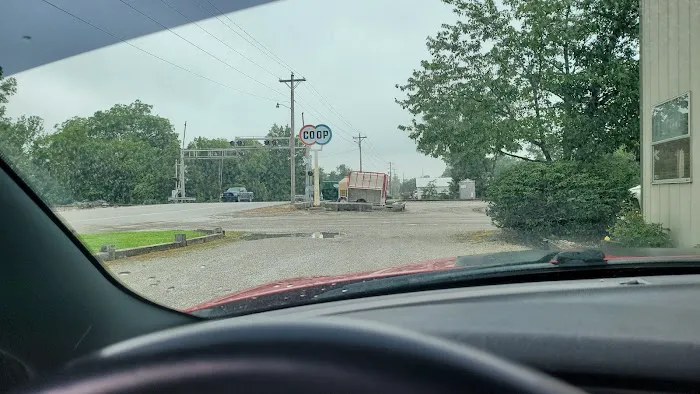 Kemp Veterinary Hospital Picture 5