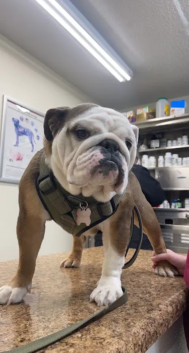 Baxter Springs Animal Hospital Picture 3