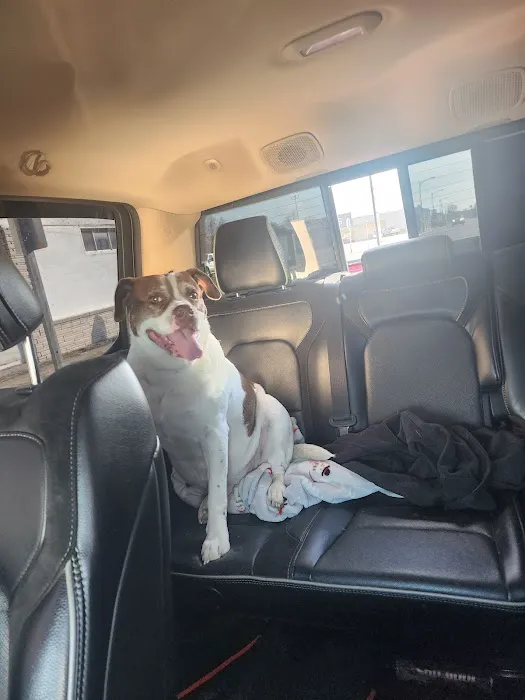 Baxter Springs Animal Hospital Picture 2