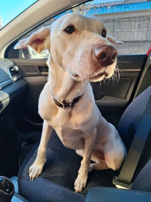 Salina Animal Medical Clinic Picture 2