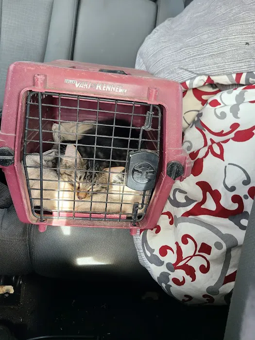 Salina Animal Medical Clinic Picture 3