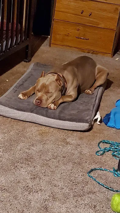 Renee Hammer DVM Picture 1