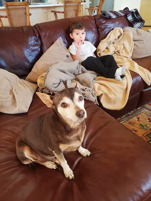 Renee Hammer DVM Picture 2