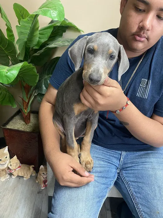 Renee Hammer DVM Picture 6