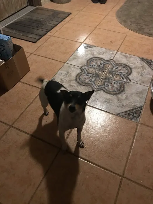 Renee Hammer DVM Picture 7