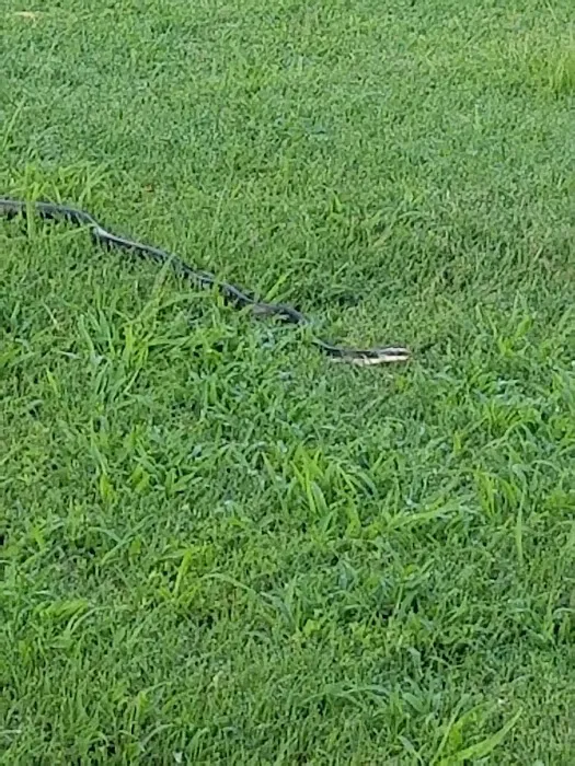 Renee Hammer DVM Picture 9