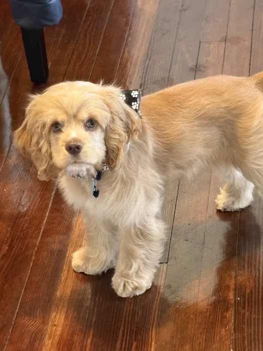 Pryor Veterinary Hospital Picture 1