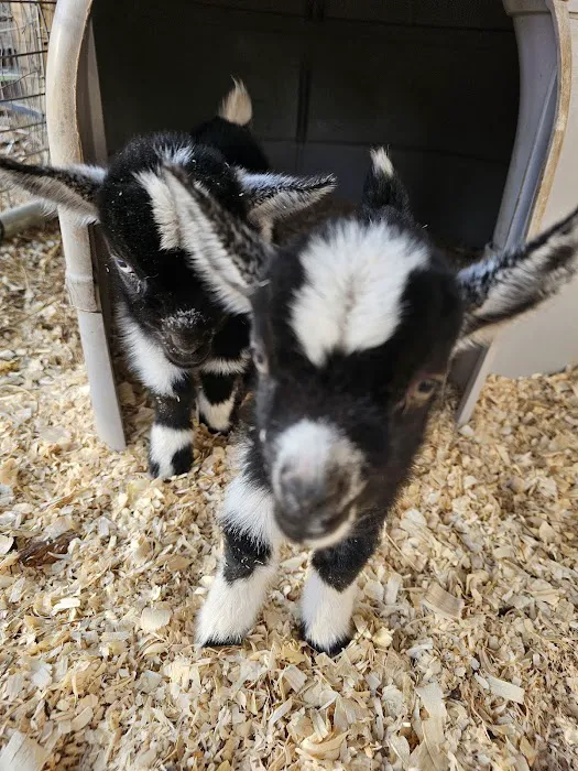 Pryor Veterinary Hospital Picture 3