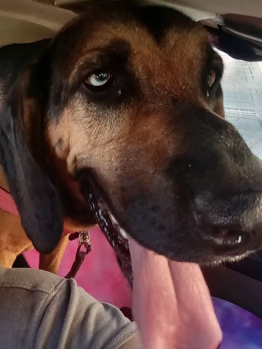 Pryor Veterinary Hospital Picture 5