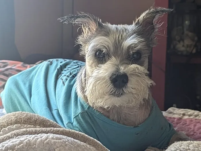 Pryor Veterinary Hospital Picture 6