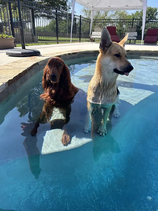 Pryor Veterinary Hospital Picture 7