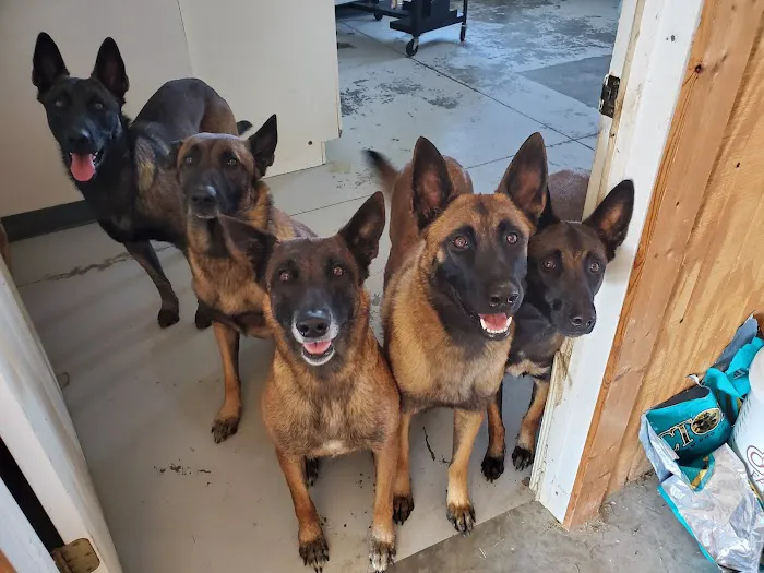 Pryor Veterinary Hospital Picture 8