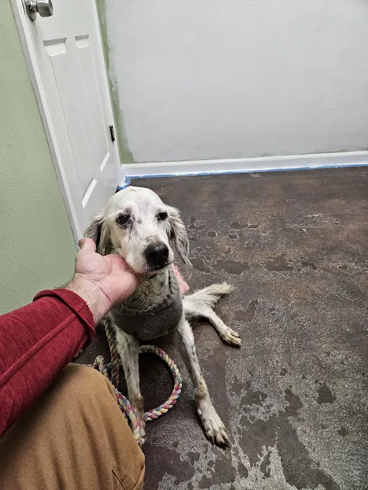 Locust Grove Animal Clinic Picture 4