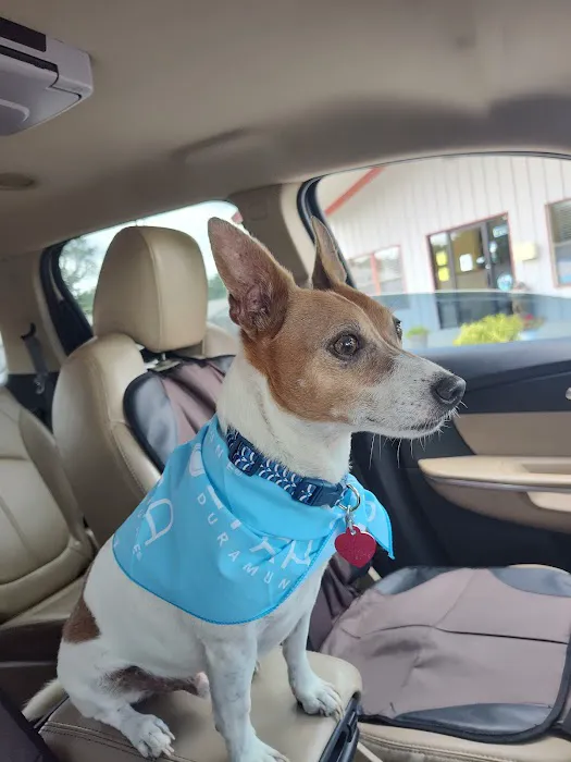 Locust Grove Animal Clinic Picture 3