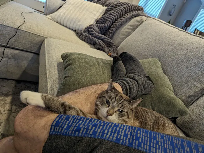 Locust Grove Animal Clinic Picture 5