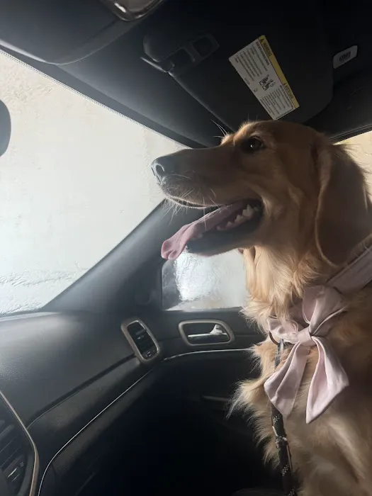 Locust Grove Animal Clinic Picture 6