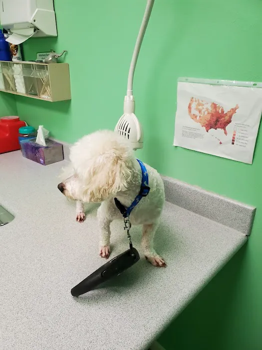 Locust Grove Animal Clinic Picture 2