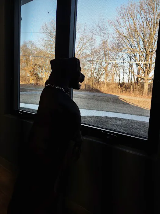 Walnut Grove Animal Clinic Picture 2