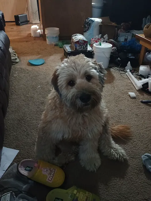 Walnut Grove Animal Clinic Picture 3