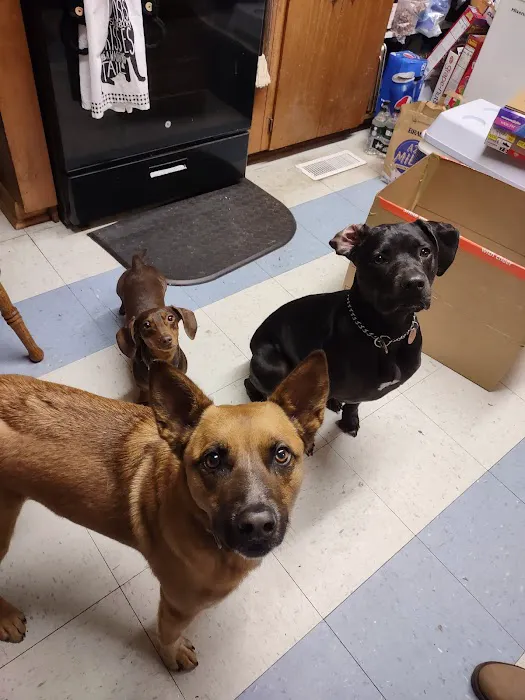 Walnut Grove Animal Clinic Picture 1