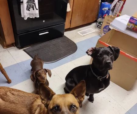 Walnut Grove Animal Clinic