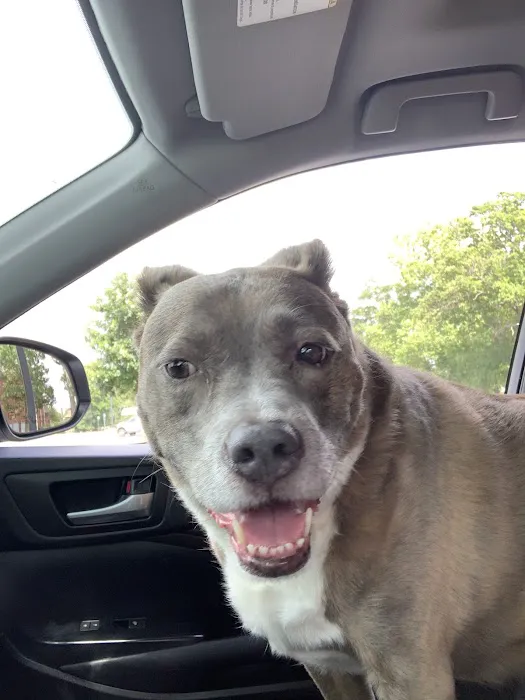 Walnut Grove Animal Clinic Picture 6