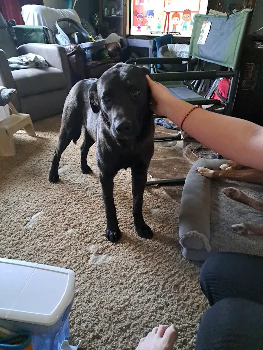 Walnut Grove Animal Clinic Picture 7