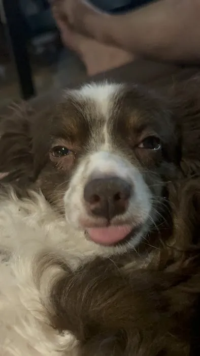 Walnut Grove Animal Clinic Picture 5