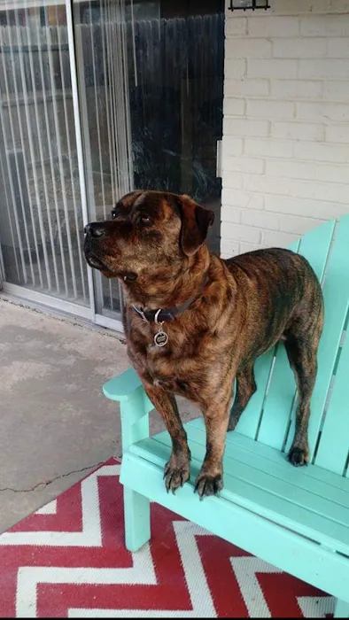 Walnut Grove Animal Clinic Picture 10